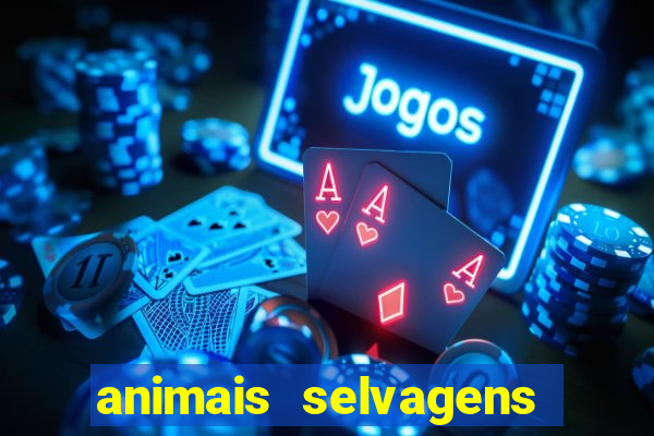 animais selvagens fotos e nomes